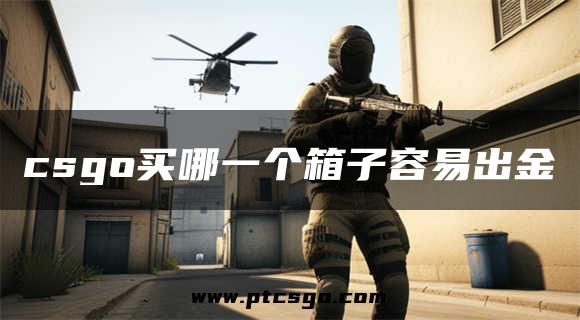 csgo买哪一个箱子容易出金