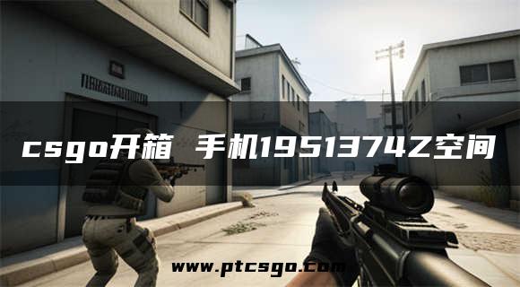 csgo开箱 手机1951374Z空间