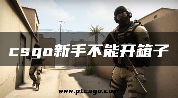csgo新手不能开箱子