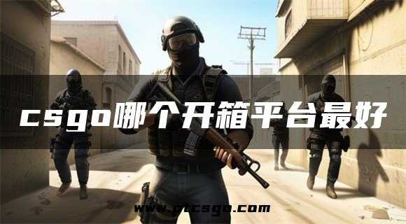 csgo哪个开箱平台最好