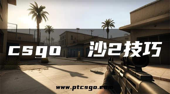 csgo  沙2技巧