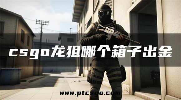 csgo龙狙哪个箱子出金