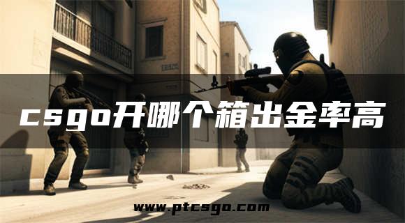 csgo开哪个箱出金率高