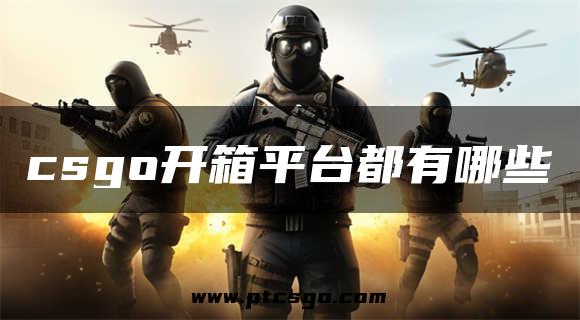 csgo开箱平台都有哪些