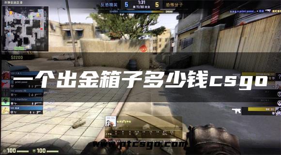 一个出金箱子多少钱csgo
