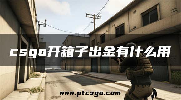 csgo开箱子出金有什么用