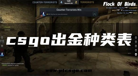 csgo出金种类表