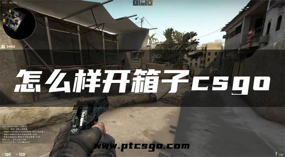 怎么样开箱子csgo
