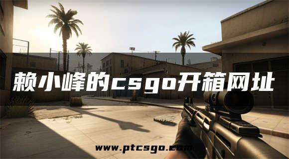 赖小峰的csgo开箱网址
