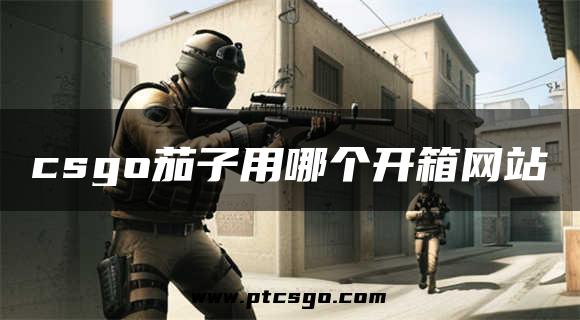 csgo茄子用哪个开箱网站